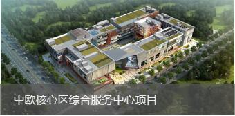 中欧核心区综合杏耀售后项目